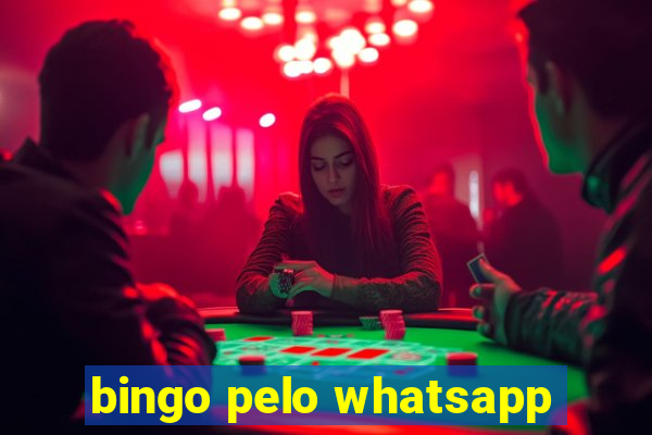 bingo pelo whatsapp